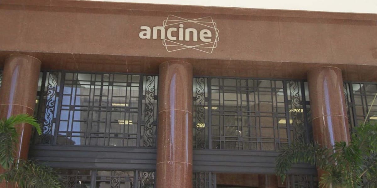 O papel de importância da Ancine no audiovisual nacional