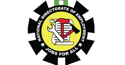 200,000 youths to benefit from FG's vocational training programmes —NDE –  Punch Newspapers