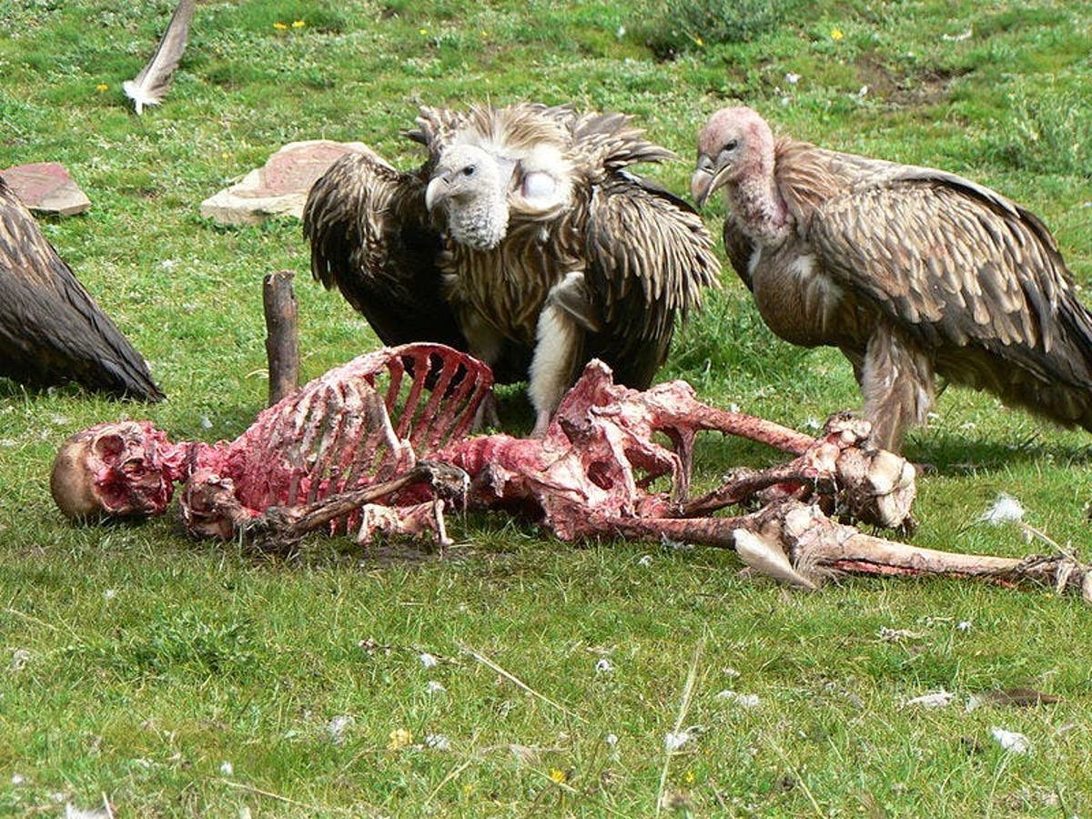 The Sky Burial