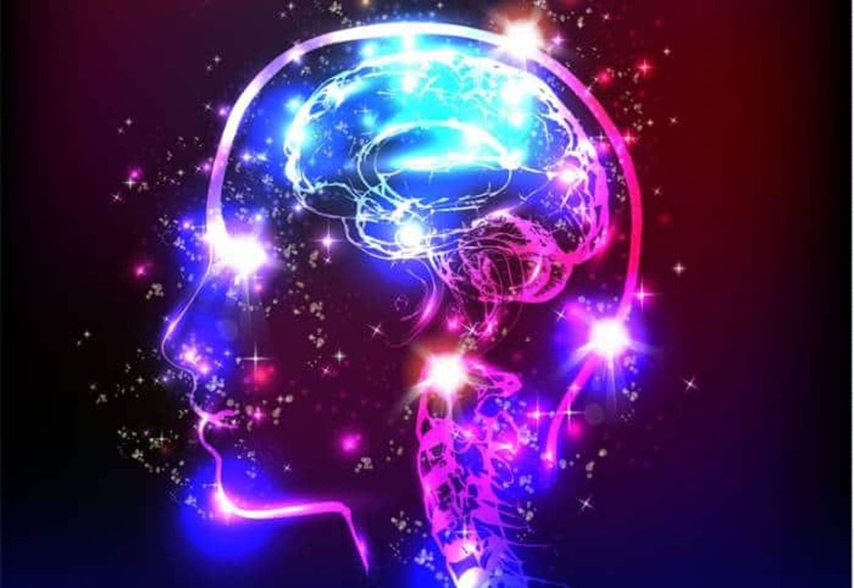 The Brain On Lsd Is Like That Of A Baby Brain Area Connections Become One The Brain On Lsd Is Like That Of A Baby Brain Area Connections Become One