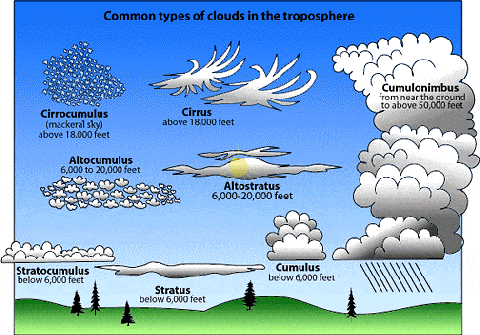 The Types Of Clouds Everything You Need To Know