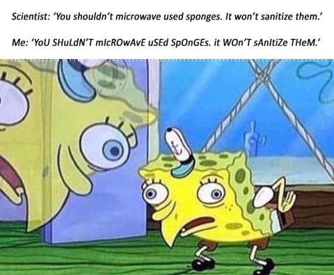 sponge bacteria