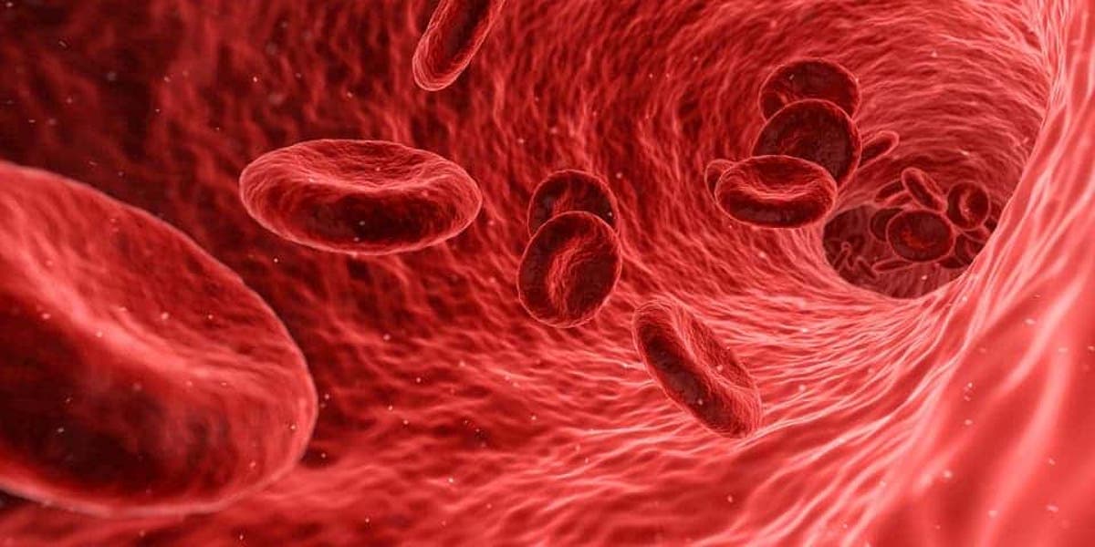 What Is The Most Common Blood Type
