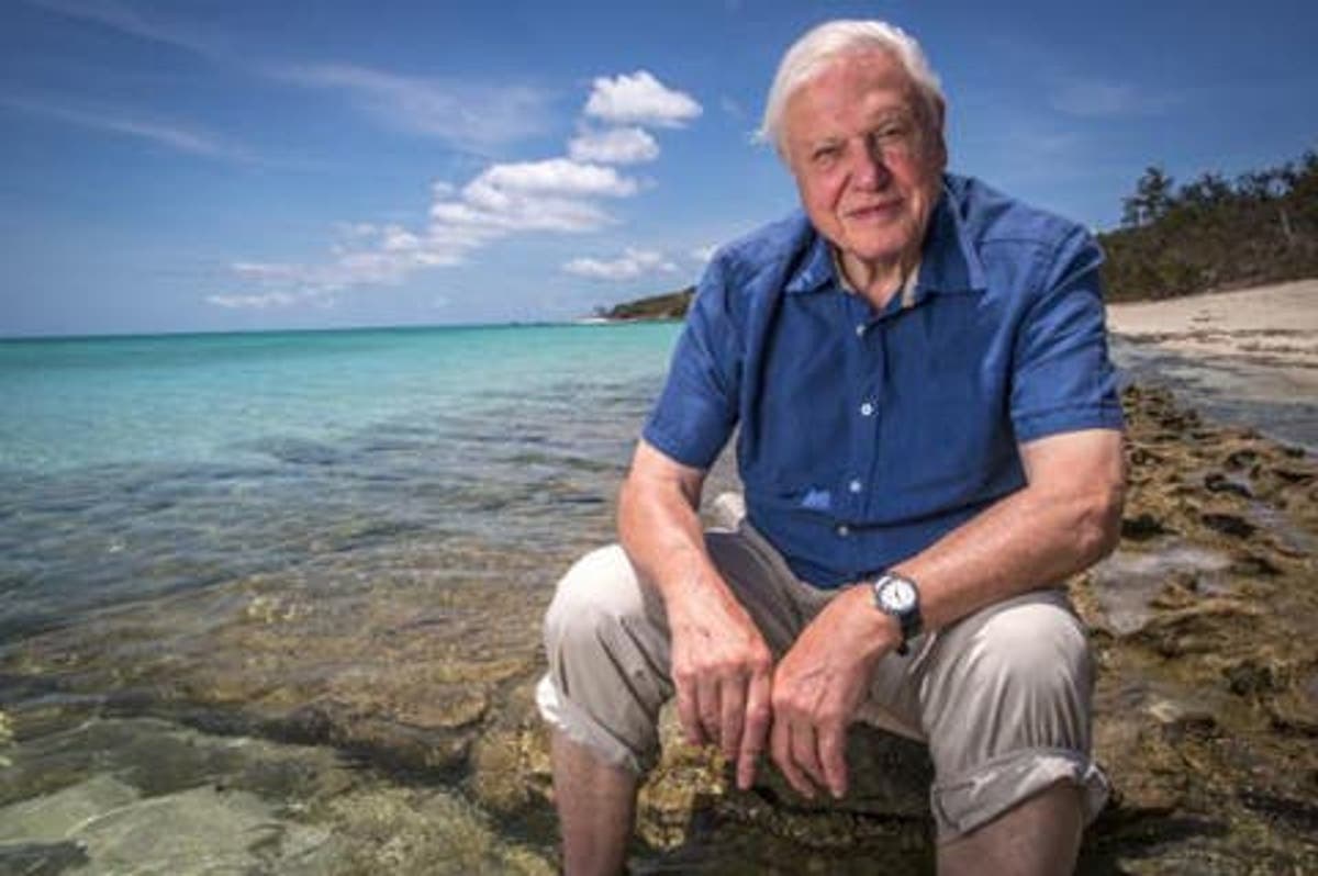 Extinction The Facts Attenborough S New Documentary Is Surprisingly Radical