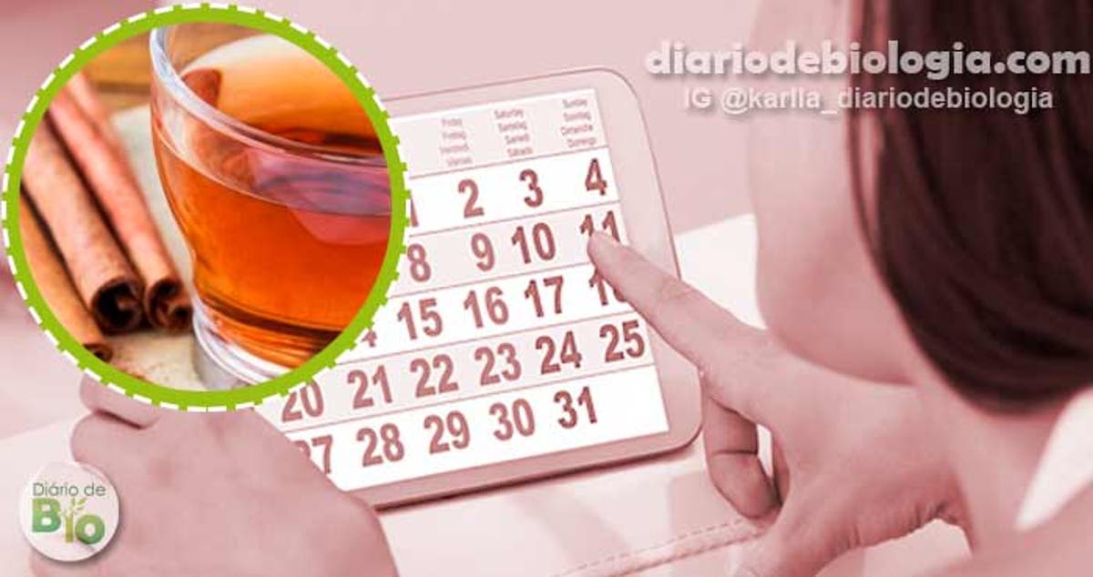remedio para menstruação descer urgente remedio para menstruação descer urgente
