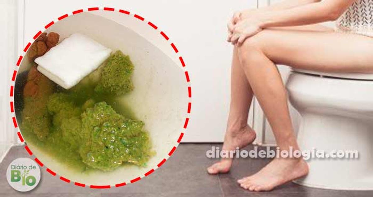 fezes com sangue durante a gravidez