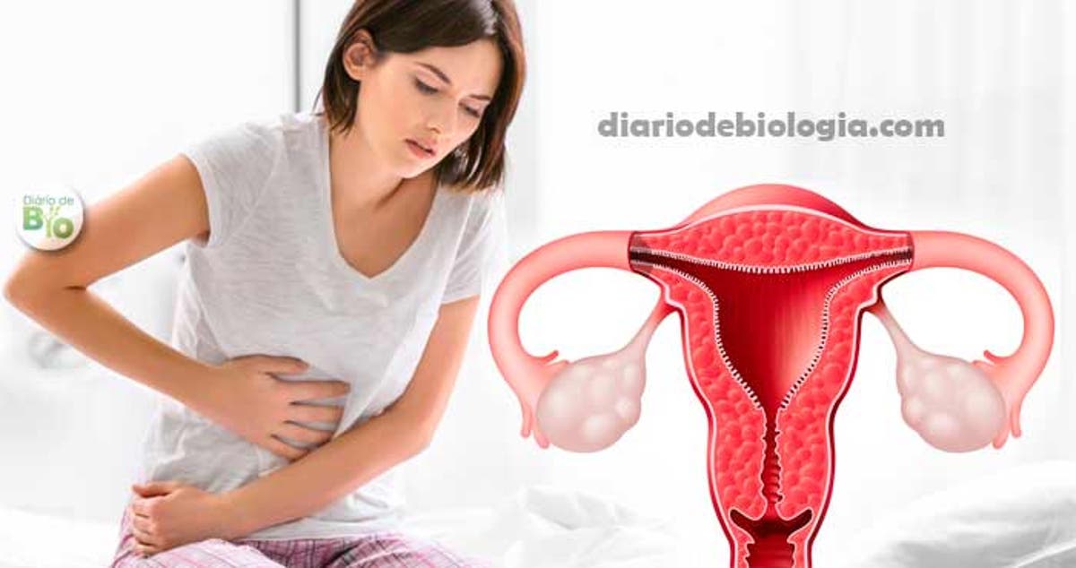 colica e dor nas pernas pode ser gravidez