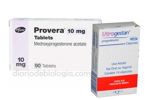 remedio para menstruação descer mais rapido remedio para menstruação descer mais rapido