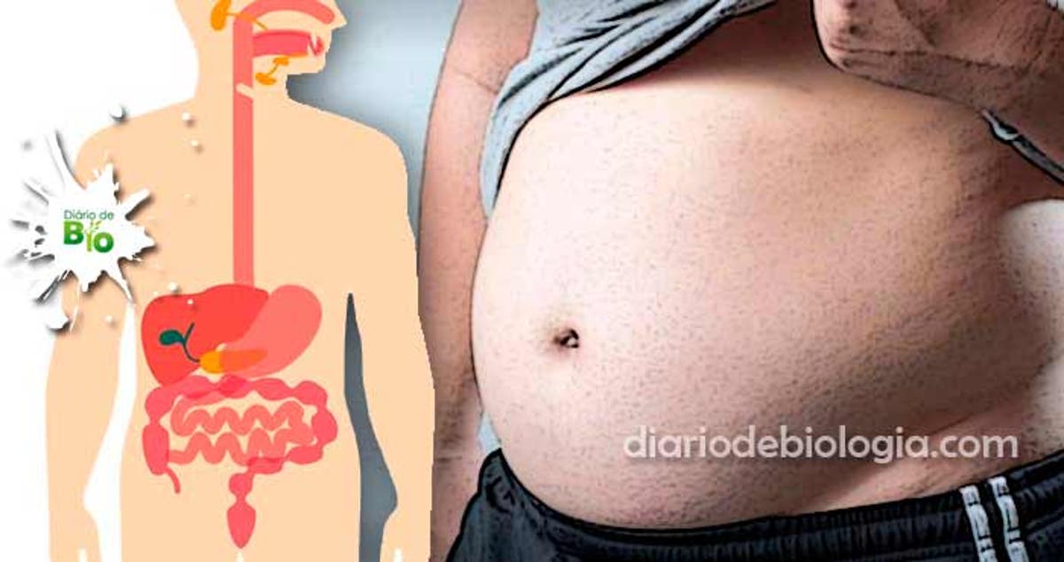 barriga inchada e gases depois de comer