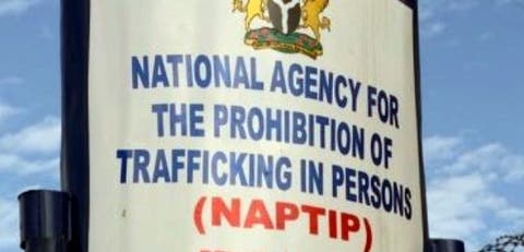 Image result for National Agency for the Prohibition of Trafficking in Persons  (NAPTIP)"