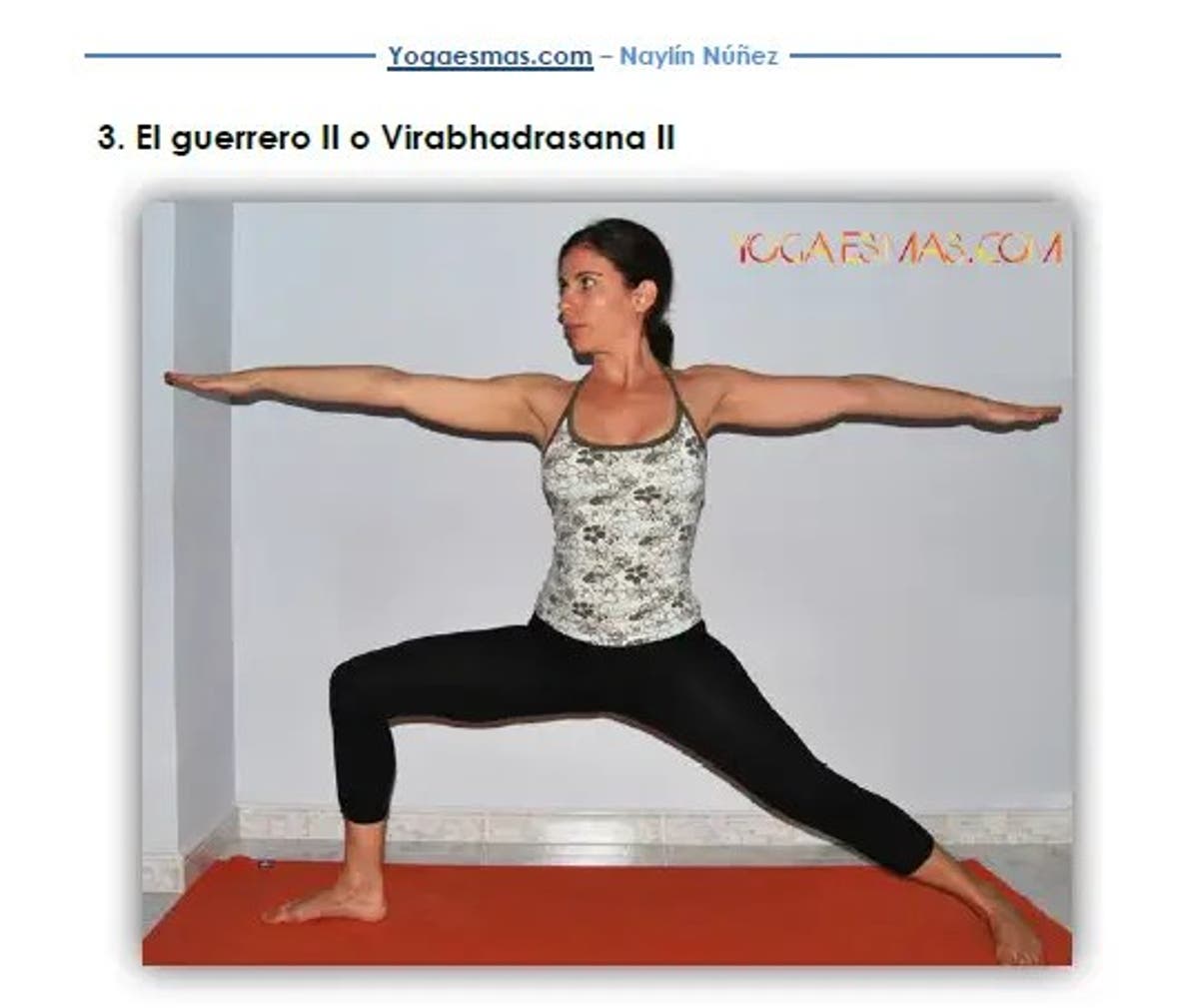 Posturas Basicas De Yoga Para Principiantes Pdf Gratuito El
