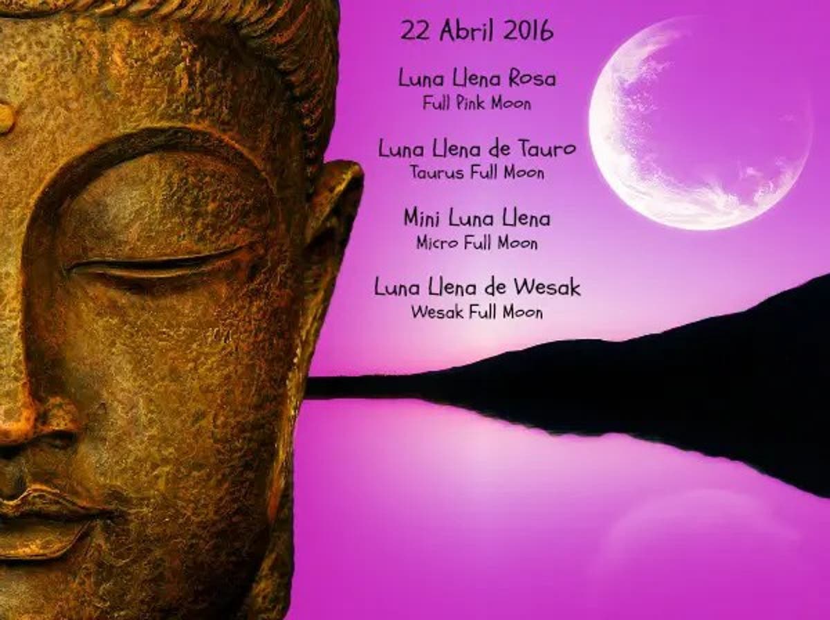 Mini Luna Llena Rosa De Wesak El Blog Alternativo