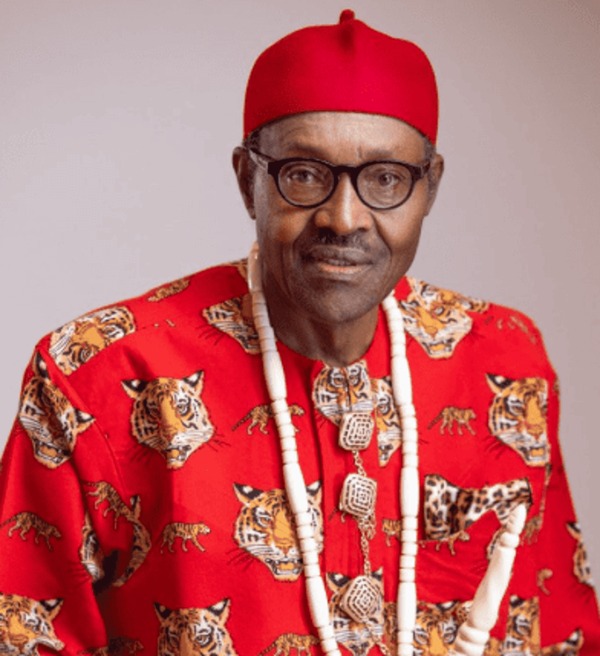 Muhammadu Buhari S Amazing New Photos Vanguard News