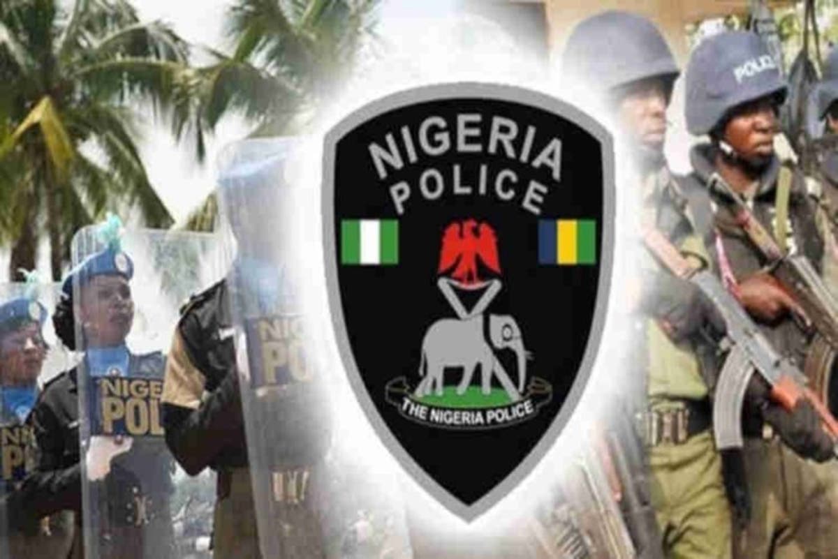 Image result for nigeria police