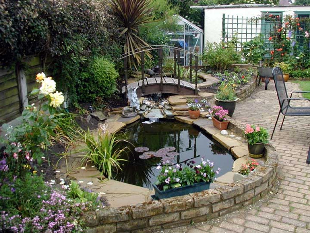 The Sustainable Way To Keep Your Garden Pond Clean Green Living Ideas