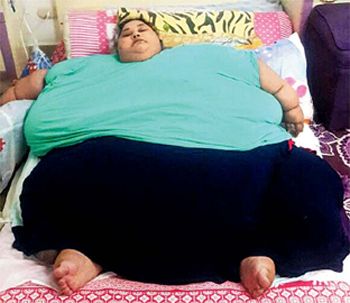 Fattest Woman On Earth 2020 The Earth Images Revimage Org   Eman Ahmed 