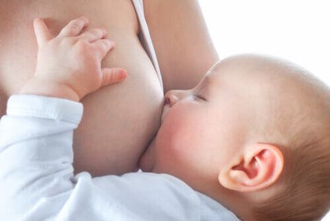 Wie Die Muttermilch Produziert Wird Ich Bin Mutter