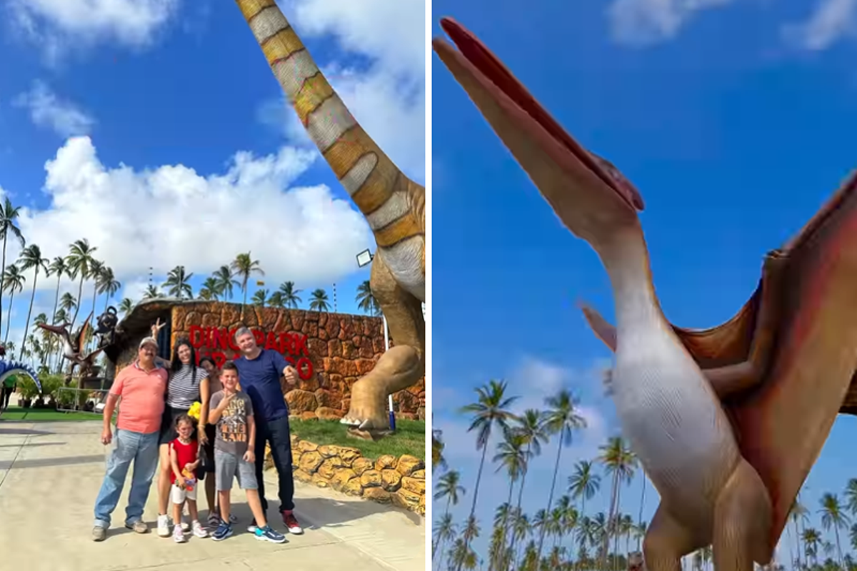 Así es Dino Park Jurásico, el parque temático que abrió en el “Camino de la  felicidad” en Falcón: entradas entre 15 y 30 dólares (+Videos y detalles)