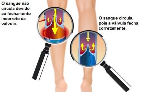 quão rápido o sangue circula pelo corpo