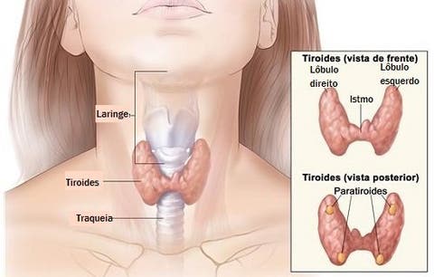 Causas del desequilibrio hormonal