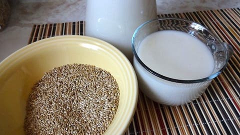 como preparar leite de alpiste para diabetes como preparar leite de alpiste para diabetes