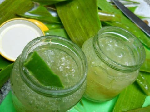 agua de aloe vera para bajar de peso agua de aloe vera para bajar de peso