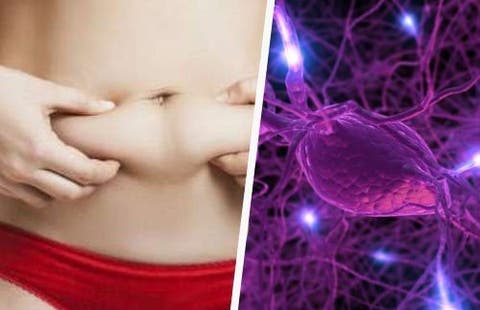 Causas del desequilibrio hormonal