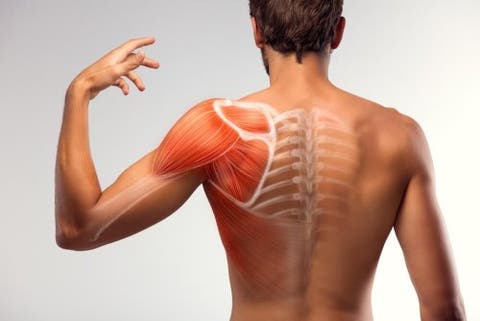 Fazer musculares espasmos o que para