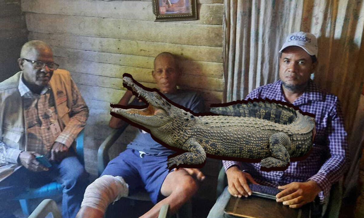 Pescador es atacado por un cocodrilo en Lago Enriquillo; Medio Ambiente  investiga