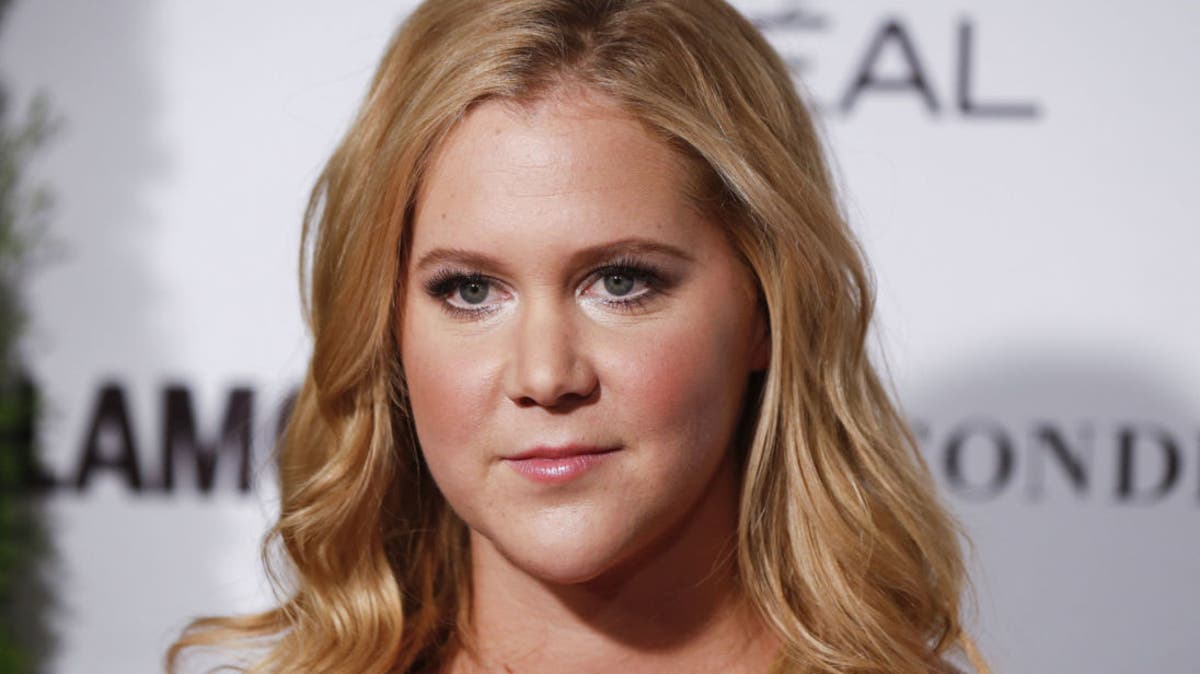 Amy Schumer Wiki Comedian Net Worth Inside Amy Schumer