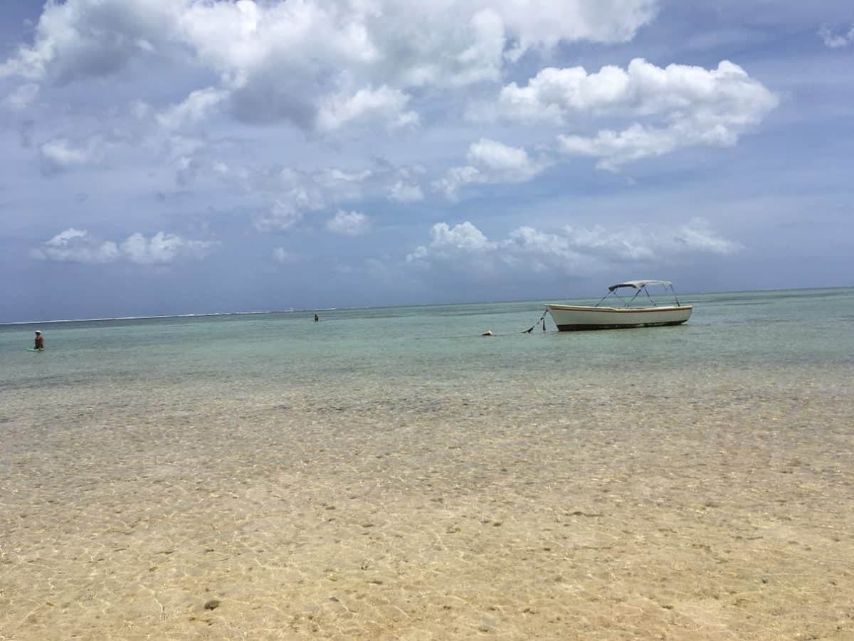 Wild About Wellness So Is Mauritius