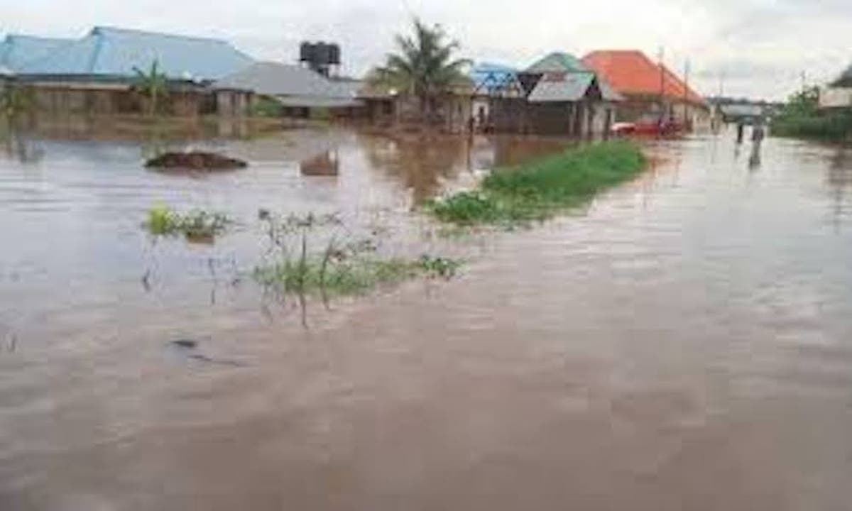 Flood Sacks 100 Residents in Osun - THISDAYLIVE