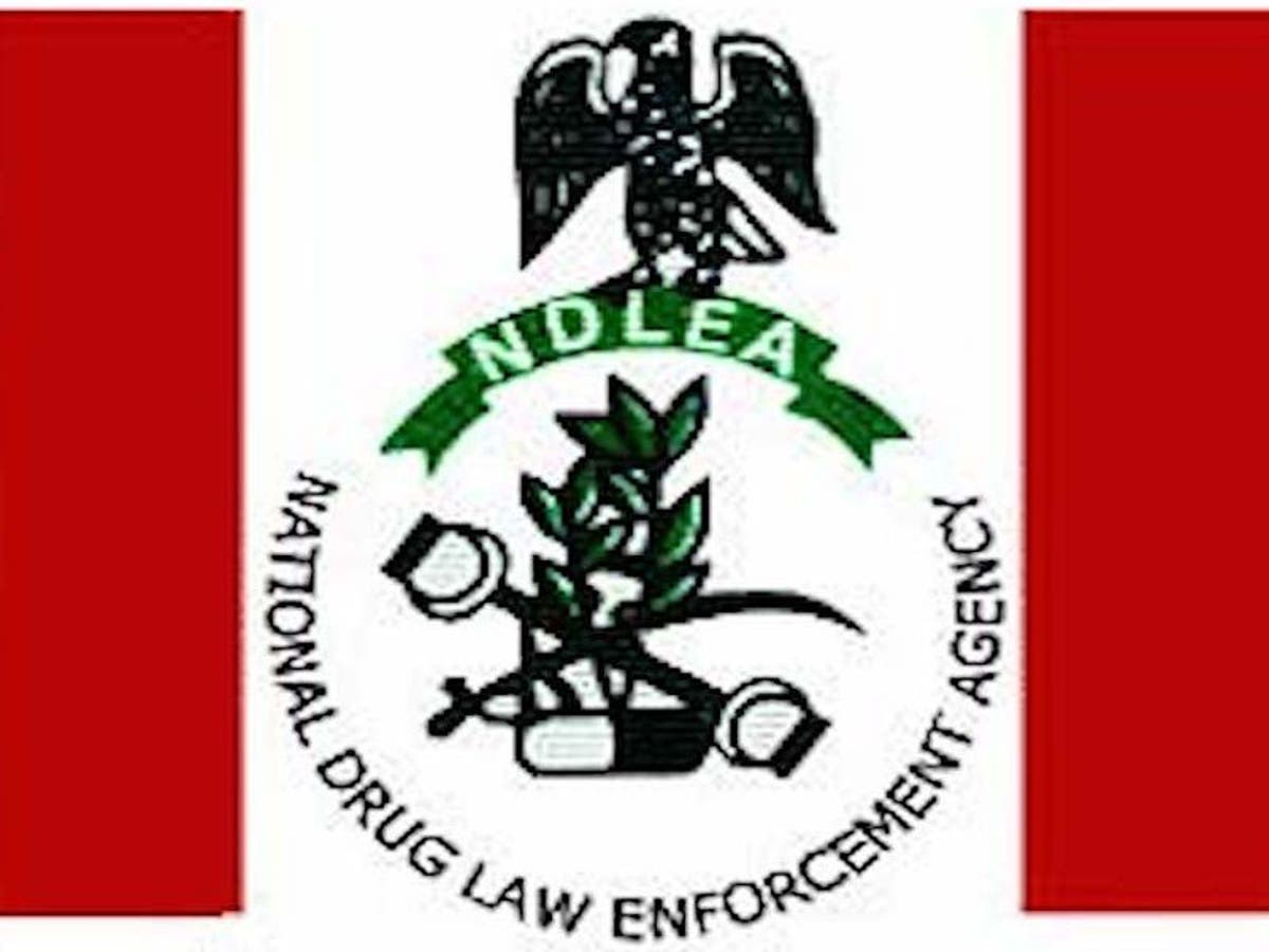 Two Arrested Drug Traffickers Excrete 191 Pellets of Cocaine, HeroinTHISDAYLIVE