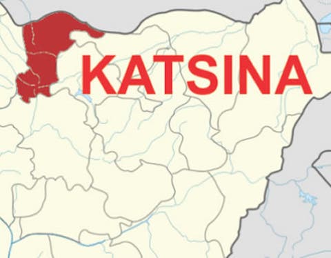 Katsina Restates Commitment to Protect Citizens from Lassa Fever ...