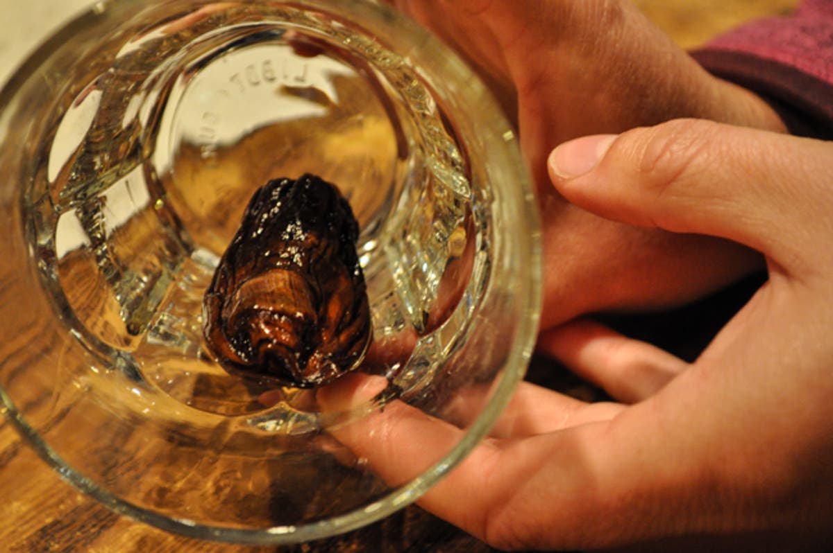 Yukon Jack Mixed Drink Recipes Besto Blog