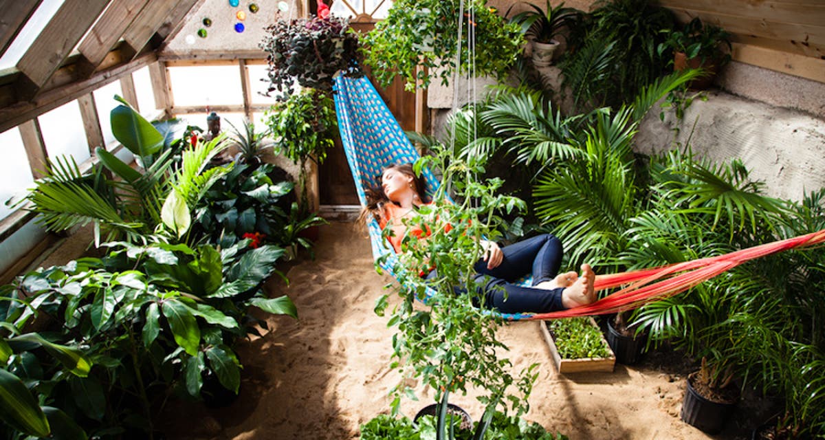 The Diy Greenhouse Of The Future Offers A Year Round Private Oasis