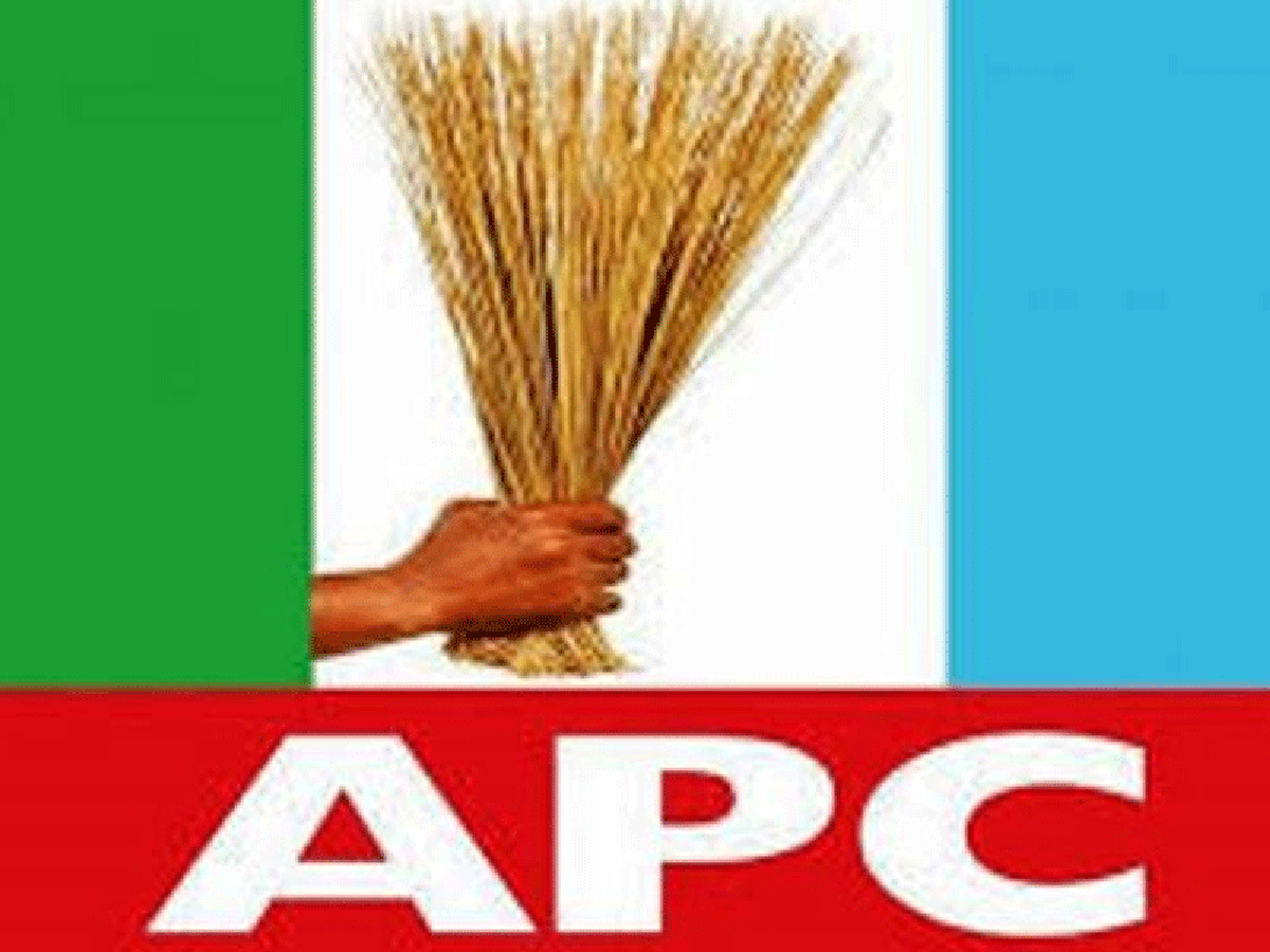 APC Guber Aspirant Attributes Insecurity, Economic Challenges in Katsina to  Negligence by Govt – THISDAYLIVE