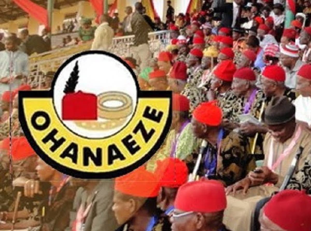Nigeria'll Be Better with Igbo Presidency, Says Ohanaeze Ndigbo –  THISDAYLIVE