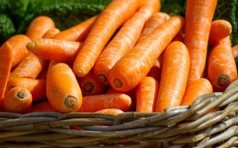 Importancia de la zanahoria: mejor visión, control de diabetes y ...