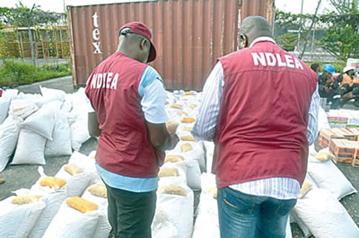 NDLEA in Kano intercepts 6,726kg of hard drugs, arrests 725 suspects