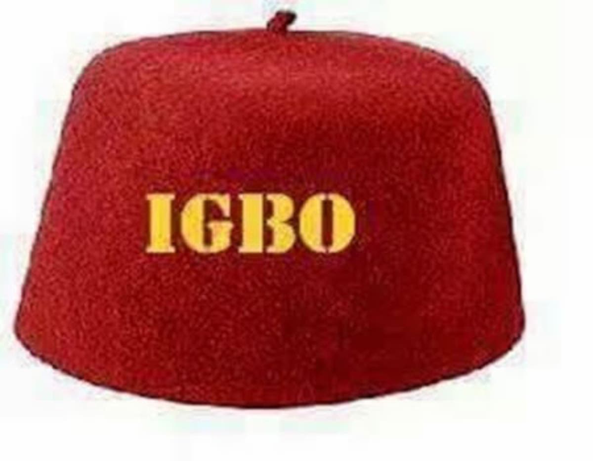 Will Igbo Language go into extinction? - Tribune Online