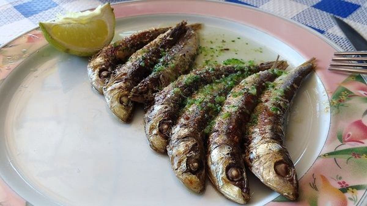 como hacer sardinas frescas al horno como hacer sardinas frescas al horno
