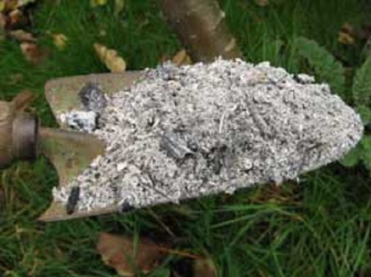 Is Wood Ash Good for Plants?