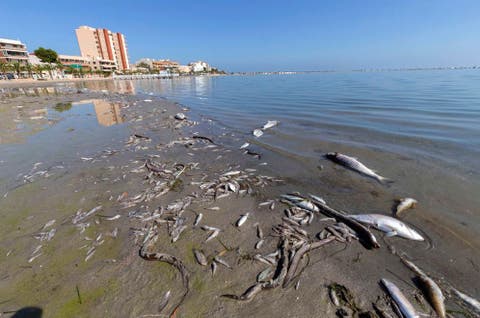 Resultado de imagen de foto de mar menor