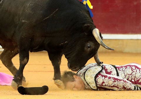 Toros La Temporada De Toros Mas Sangrienta Por Que Ha Habido Tantas Cornadas
