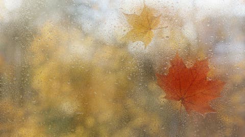 tiempo en ciudad real