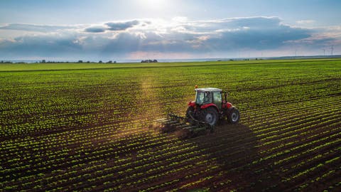 Resultado de imagen de imagenes de campo