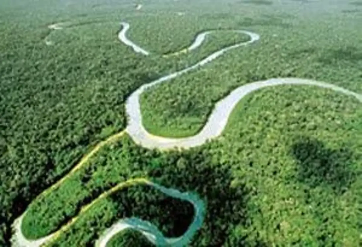 El Rio Amazonas Un Futuro Incierto Ecoportal Net