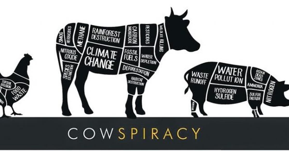 Cowspiracy el documental sobre la contaminación que ejerce la ganadería -  EcoPortal.net