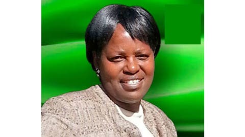 Zanu PF readies for by-elections | The Herald
